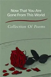 Book cover of Now That You Are Gone From This World by Jessica Graham
