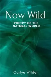 Book cover of Now Wild by Carlye Wilder