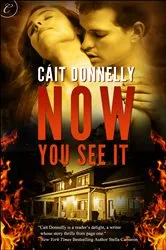 Book cover of Now You See It by Cáit Donnelly