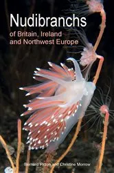 Book cover of Nudibranchs of Britain, Ireland and Northwest Europe by Bernard Picton