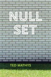 Book cover of Null Set by S. L. Huang