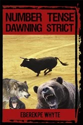 Book cover of Number Tense Dawning Strict by Eberekpe aWhyte