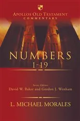 Book cover of Numbers 1-19 by L. Michael Morales