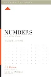 Book cover of Numbers by John Rechy