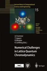 Book cover of Numerical Challenges in Lattice Quantum Chromodynamics by Andreas Frommer