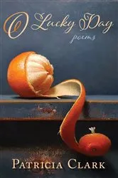 Book cover of O Lucky Day by Patricia Clark