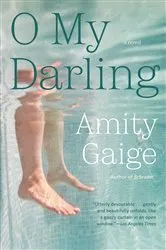 Book cover of O My Darling by Amity Gaige