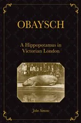 Book cover of Obaysch by John Simons