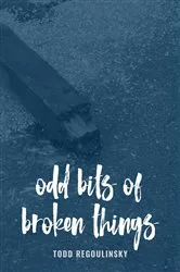 Book cover of Odd Bits Of Broken Things by Todd Regoulinsky