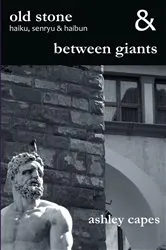 Book cover of old stone & between giants by Ashley Capes