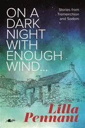 Book cover of On a Dark Night with Enough Wind by Lilla Pennant