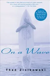 Book cover of On a Wave by Thad Ziolkowski