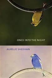 Book cover of Once into the Night by Aurelie Sheehan