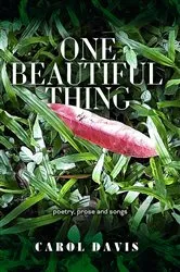 Book cover of One Beautiful Thing by Carol Davis