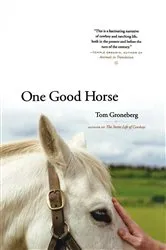 Book cover of One Good Horse by Tom Groneberg