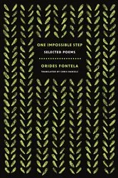 Book cover of One Impossible Step by Fontela Orides