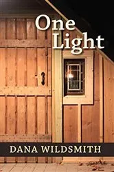 Book cover of One Light by Dana Wildsmith