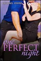 Book cover of One Perfect Night by Rachael Johns
