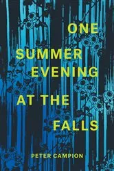 Book cover of One Summer Evening at the Falls by Peter Campion