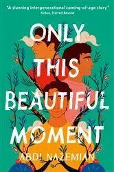 Book cover of Only This Beautiful Moment by Abdi Nazemian