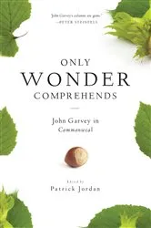 Book cover of Only Wonder Comprehends by Patrick Jordan
