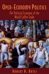 Book cover of Open-Economy Politics by Unknown