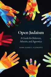 Book cover of Open Judaism by Barry L. Schwartz