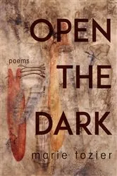 Book cover of Open the Dark by Marie Tozier