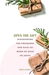 Book cover of Open The Gift by Sheila K Alewine