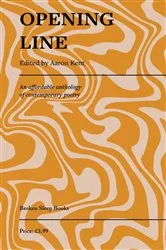 Book cover of Opening Line by Aaron Kent