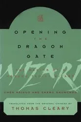 Book cover of Opening the Dragon Gate by Chen Kaiguo