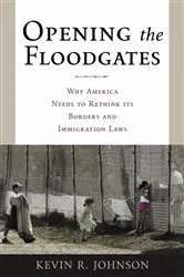 Book cover of Opening the Floodgates by Kevin R. Johnson