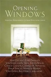 Book cover of Opening Windows by Stuart Hamilton