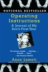Book cover of Operating Instructions by Anne Lamott