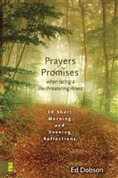 Book cover of Oraciones y promesas by Edward G. Dobson