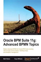 Book cover of Oracle BPM Suite 11g: Advanced BPMN Topics by Mark Nelson