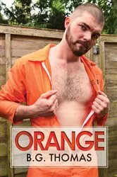 Book cover of Orange by Bradley Justice
