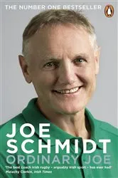 Book cover of Ordinary Joe by Unknown