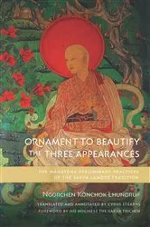 Book cover of Ornament to Beautify the Three Appearances by Ngorchen Könchok Lhundrup