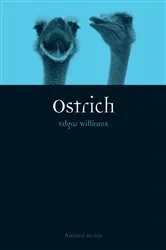 Book cover of Ostrich by Edgar Williams