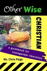 Book cover of OtherWise Christian by Chris R Paige