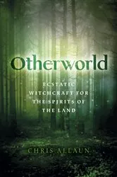 Book cover of Otherworld by Chris Allaun
