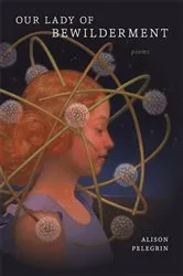 Book cover of Our Lady of Bewilderment by Unknown