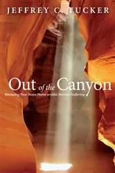 Book cover of Out of the Canyon by Art Daily