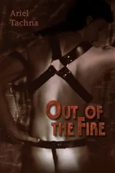 Book cover of Out of the Fire by Mike Kinney