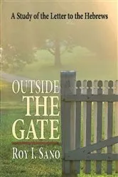 Book cover of Outside the Gate by Carol Newall