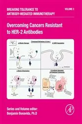 Book cover of Overcoming Cancers Resistant to HER-2 Antibodies by Benjamin Bonavida