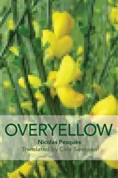 Book cover of Overyellow, an Installation by Nicholas Pesquès