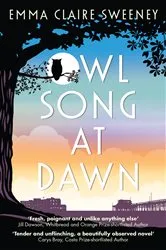 Book cover of Owl Song at Dawn by Emma Claire Sweeney