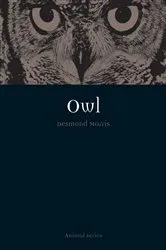 Book cover of Owl by DK